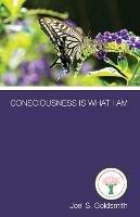 Consciousness is What I am - Joel S. Goldsmith - cover