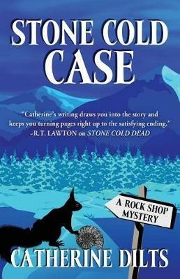 Stone Cold Case - Catherine Dilts - cover