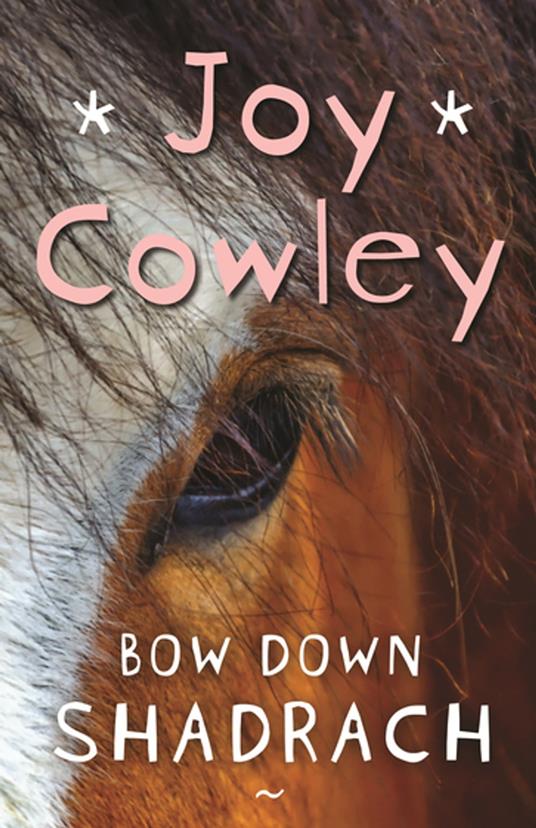 Bow Down Shadrach - Joy Cowley - ebook