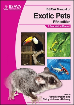ibs
