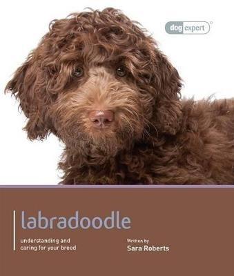 Labradoodle - Dog Expert - Sarah Rogers - cover
