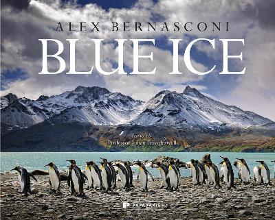 Blue Ice - Alex Bernasconi - cover