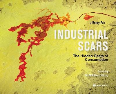 Industrial Scars: The Hidden Costs of Consumption - J Henry Fair - cover