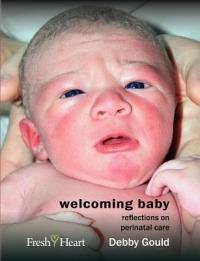Welcoming Baby: Reflections on Perinatal Care - Debby Gould - cover