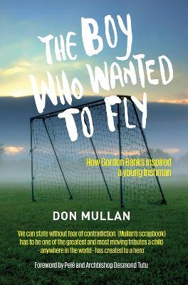 The Boy Who Wanted To Fly - Don Mullan - cover
