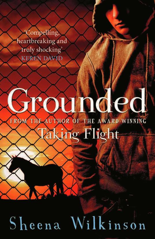 Grounded - Sheena Wilkinson - ebook