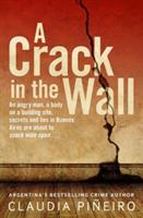A Crack in the Wall - Claudia Piñeiro - cover