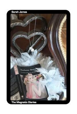 The Magnetic Diaries - Sarah James - cover