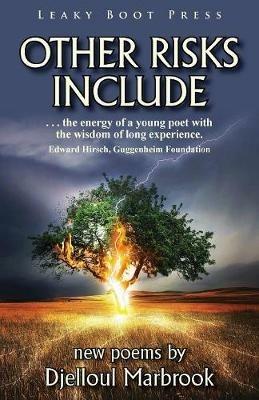 Other Risks Include - Djelloul Marbrook - cover