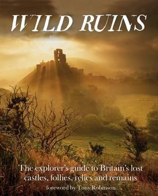 Wild Ruins: The Explorer's Guide to Britain Lost Castles, Follies, Relics and Remains - Dave Hamilton - cover
