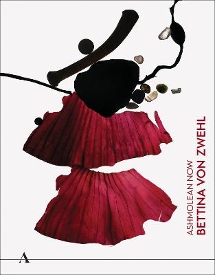 Ashmolean NOW: Bettina von Zwehl - Lena Fritsch,Stephen Grosz,Ciara Ennis - cover