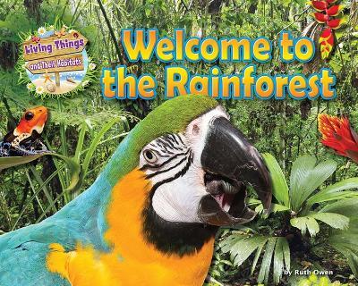 Welcome to the Rainforest - Honor Head - cover