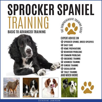 SPROCKER SPANIEL TRAINING: