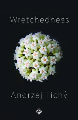Wretchedness - Andrzej Tichý - cover