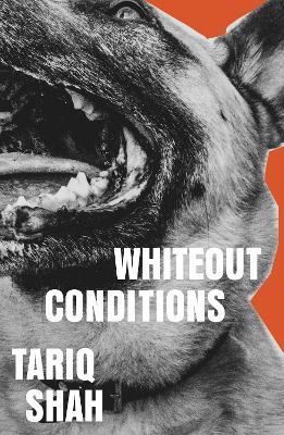 Whiteout Conditions - Tariq Shah - cover