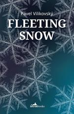 Fleeting Snow
