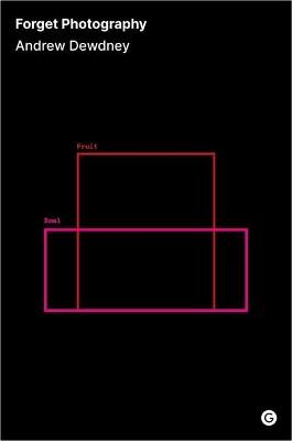 Forget Photography - Andrew Dewdney - cover