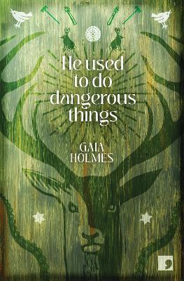 He Used To Do Dangerous Things - Gaia Holmes - cover