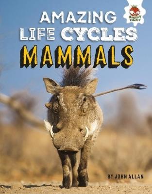 Amazing Life Cycles- Mammals - John Allan - cover