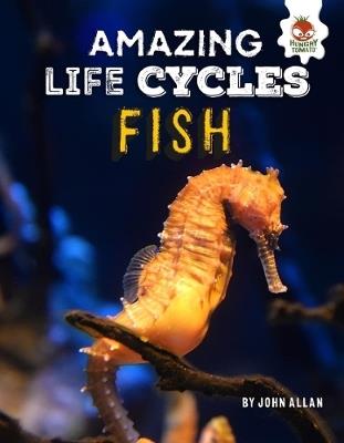 Amazing Life Cycles- Fish - John Allan - cover