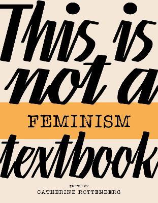 This Is Not a Feminism Textbook - cover
