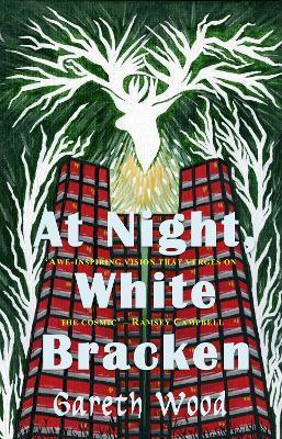 At Night White Bracken - cover