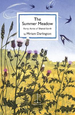 The Summer Meadow: Forty Acres of Shared Earth - Miriam Darlington - cover