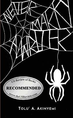 Never Marry a Writer - Tolu' a Akinyemi - cover