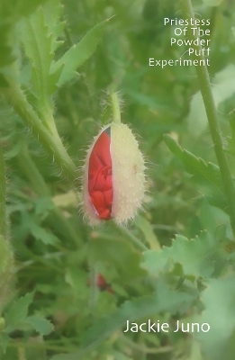 Emozioni Media Store