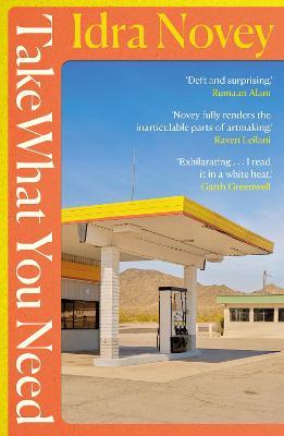 Take What You Need - Idra Novey - cover