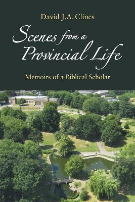 Scenes from a Provincial Life: Memoirs of a Hebrew Bible Professor - David J a Clines - cover