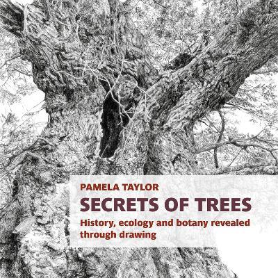 Secrets of Trees: History, ecology and botany revealed through drawing - Pamela Taylor - cover