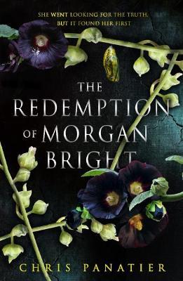 The Redemption of Morgan Bright - Chris Panatier - cover