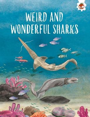 WEIRD AND WONDERFUL SHARKS: Shark Safari   STEM - Annabel Griffin - cover
