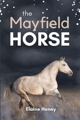 The Mayfield Horse: Book 3 in the Connemara Horse Adventure Series for Kids. The perfect gift for children age 8-12 - Elaine Heney - cover