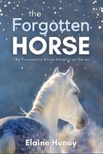 The Forgotten Horse - Book 1 in the Connemara Horse Adventure Series for Kids | The Perfect Gift for Children