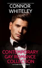 Contemporary Gay Romance Collection: 3 Gay Sweet Romance Novellas