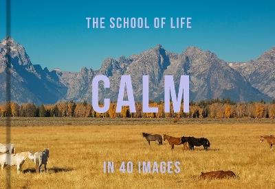 Calm in 40 Images: The art of finding serenity - The School of Life - cover