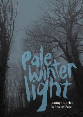 Pale Winter Light - Jeremy Page - cover