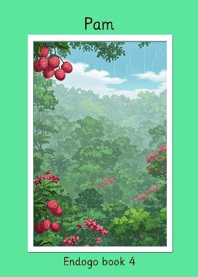 Pam - R M Price-Mohr - cover