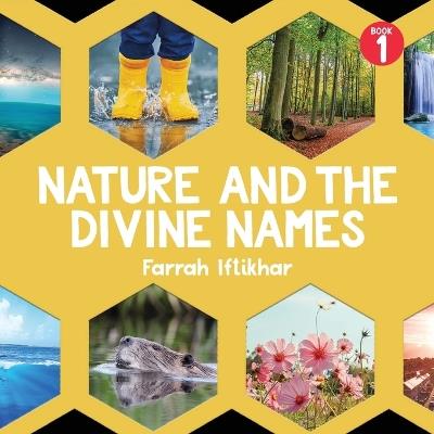 Nature and the Divine Names - Farah Iftikhar - cover