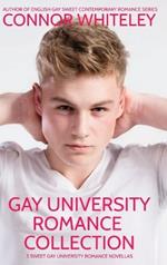 Gay University Romance Collection: 3 Sweet Gay University Romance Novellas