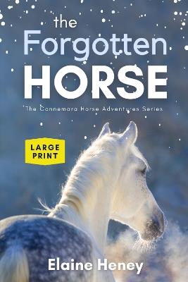 The Forgotten Horse - Book 1 in the Connemara Horse Adventure Series LARGE PRINT - Elaine Heney - cover