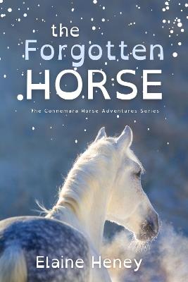 The Forgotten Horse - Dyslexia Friendly - Elaine Heney - cover