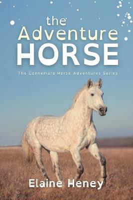 The Adventure Horse - Dyslexia Friendly - Elaine Heney - cover