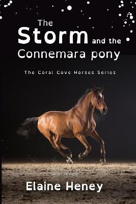 The Storm and the Connemara Pony - Dyslexia Friendly - Elaine Heney - cover