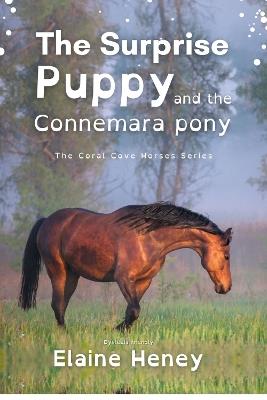 The Surprise Puppy and the Connemara Pony - Dyslexia Friendly - Elaine Heney - cover