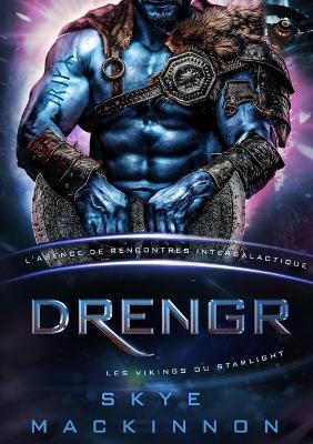 Drengr: Les Vikings du Starlight - Skye MacKinnon - cover