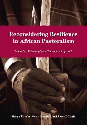 Reconsidering Resilience in African Pastoralism: Towards a Relational and Contextual Approach - cover