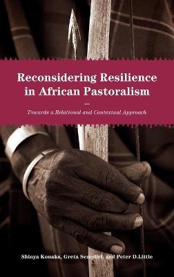 Reconsidering Resilience in African Pastoralism: Towards a Relational and Contextual Approach - Shinya Konaka,Peter D. Little,Greta Semplici - cover